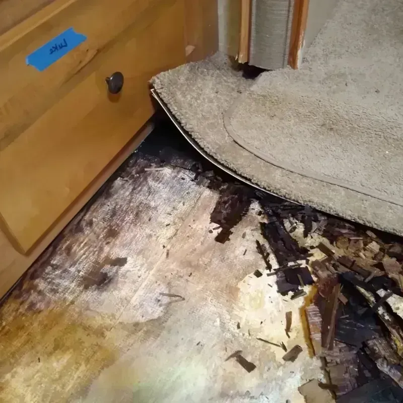 Wood Floor Water Damage in Austell, GA